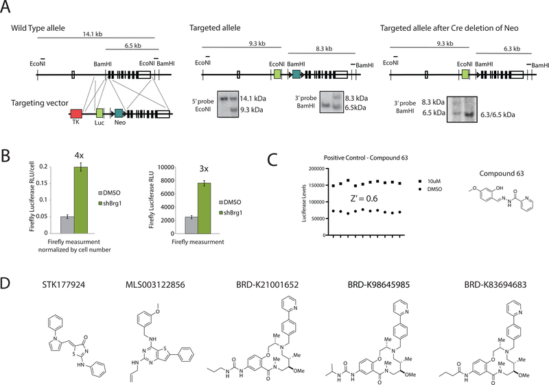 Figure 1: