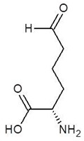 graphic file with name biomolecules-12-00887-i009.jpg