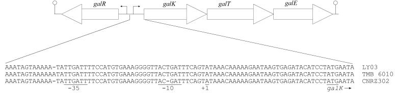 FIG. 3.