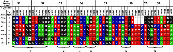 FIG. 3.