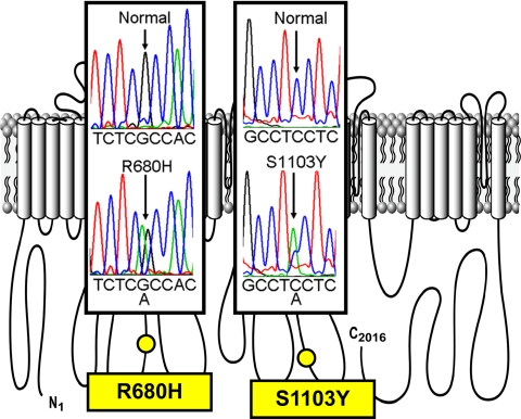 Fig. 1.