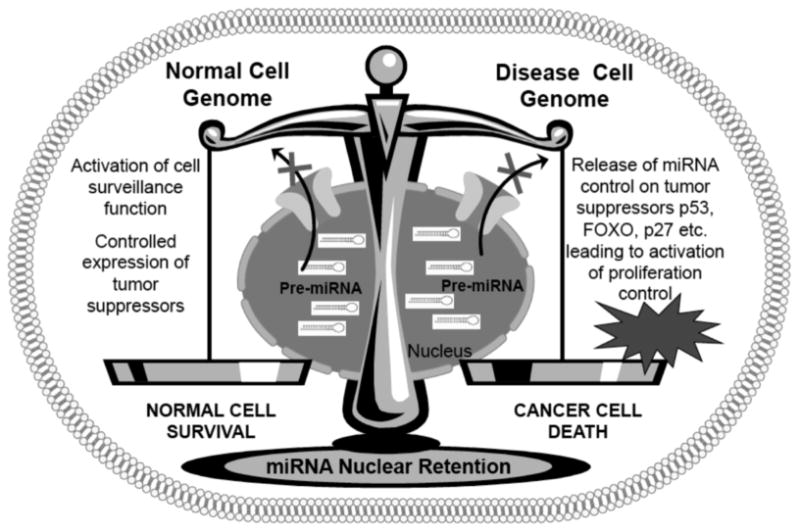 Fig. (3)