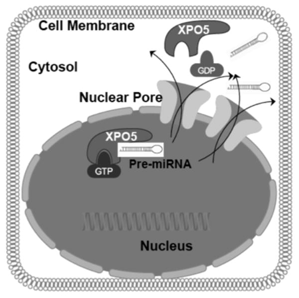 Fig. (2)