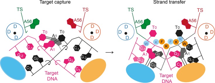 Figure 10.