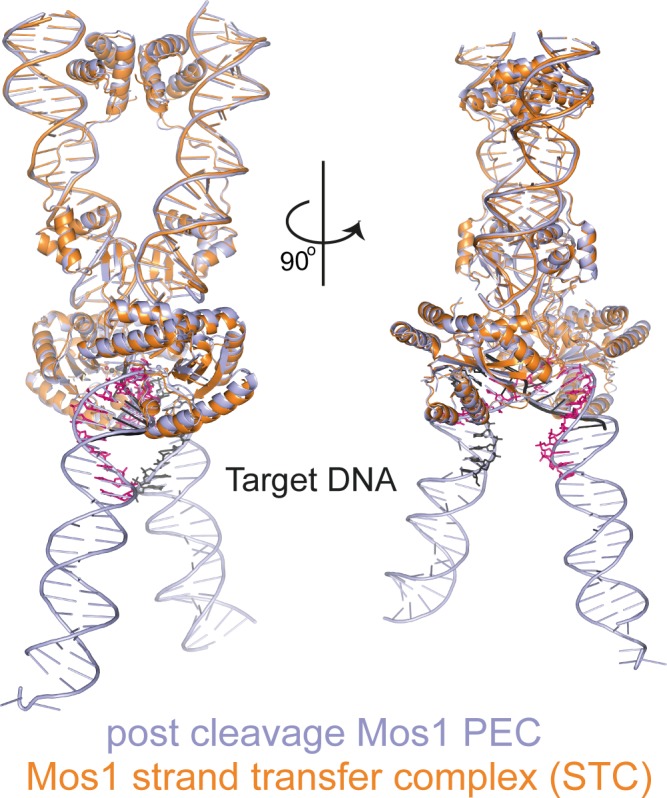 Figure 9—figure supplement 1.