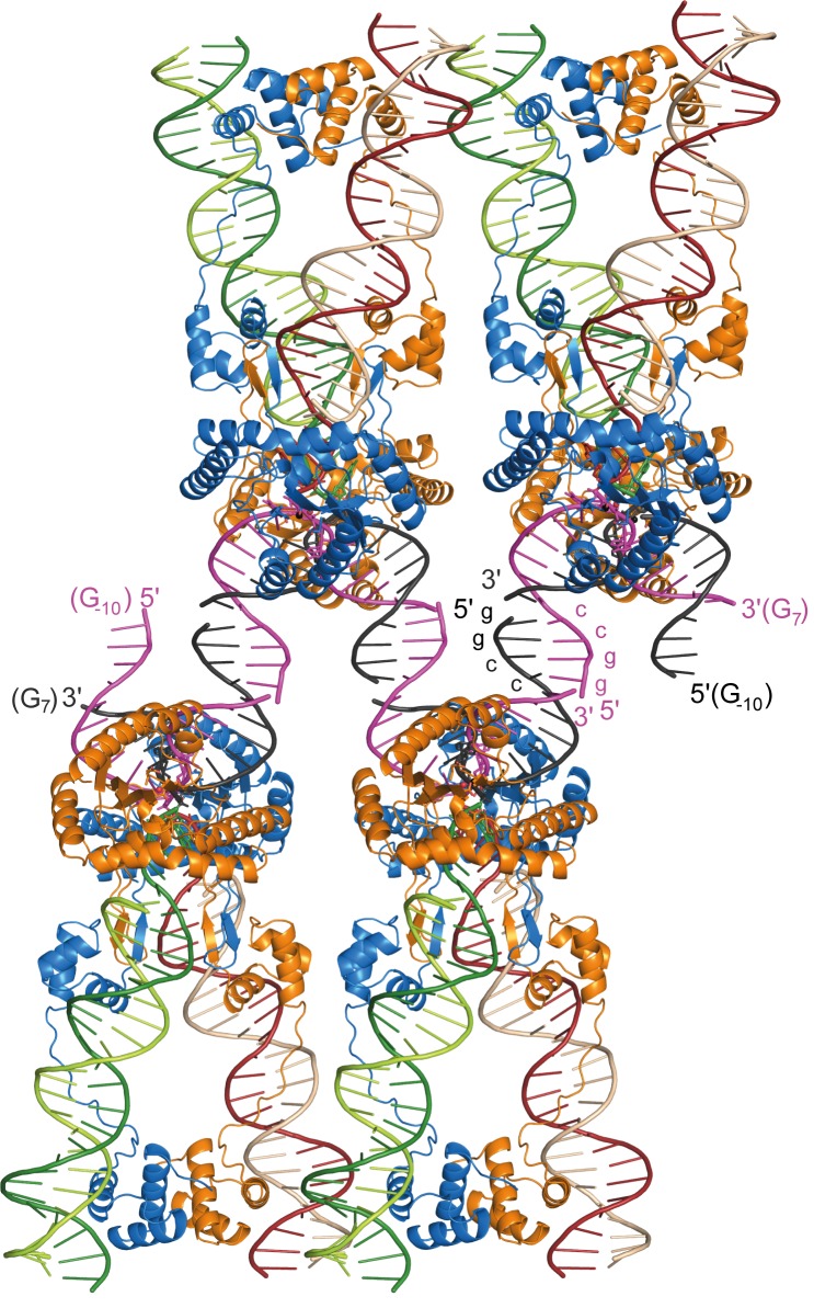 Figure 2—figure supplement 2.