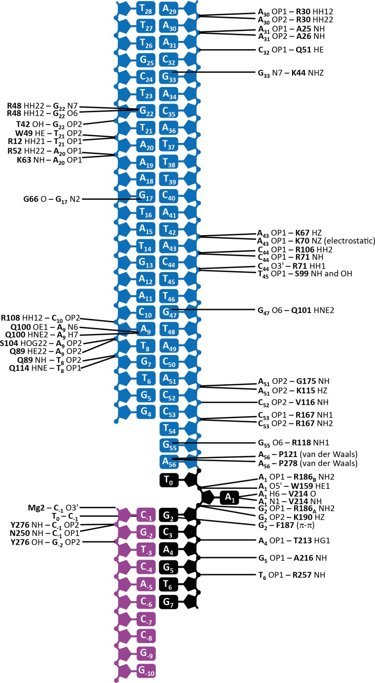 Figure 2—figure supplement 3.