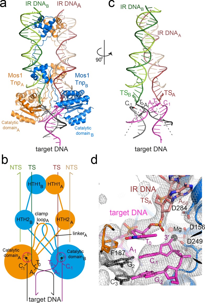 Figure 2.