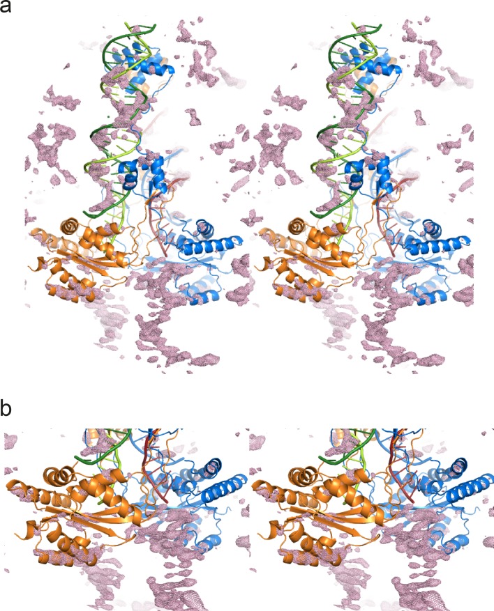 Figure 2—figure supplement 1.