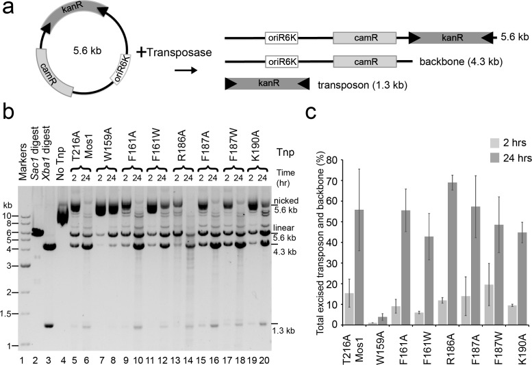 Figure 6.