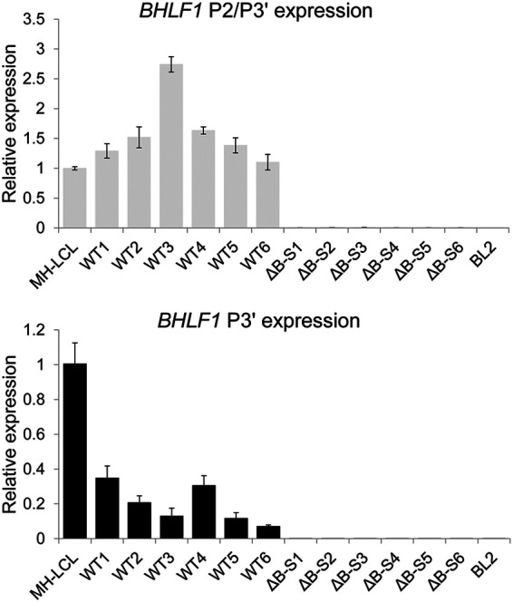 FIG 5