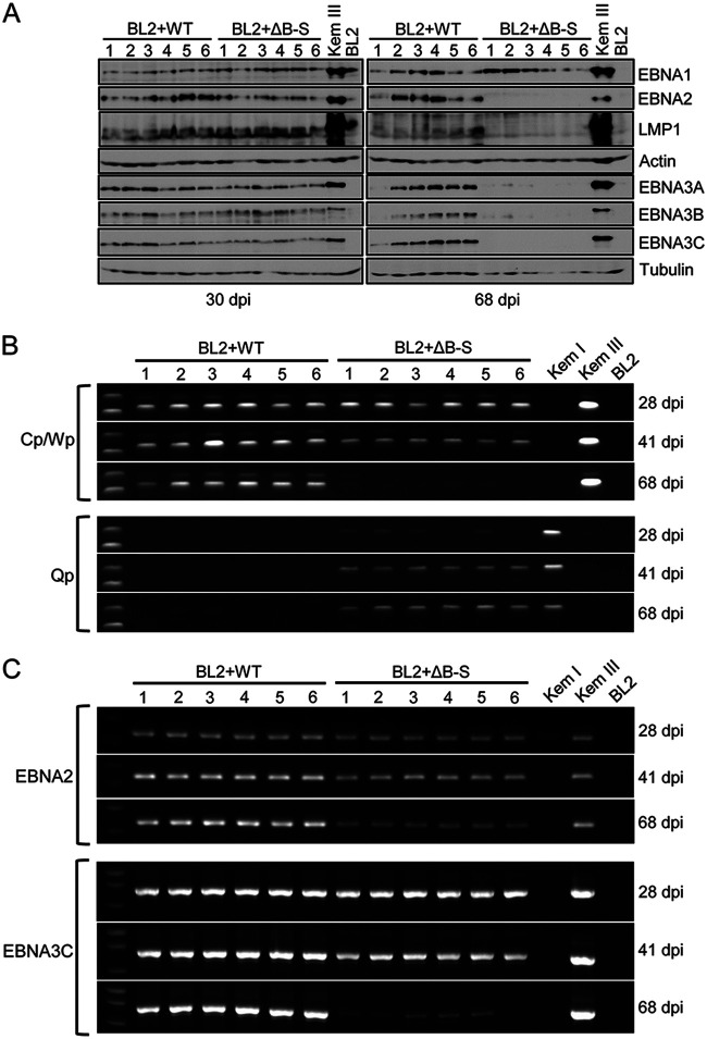 FIG 4