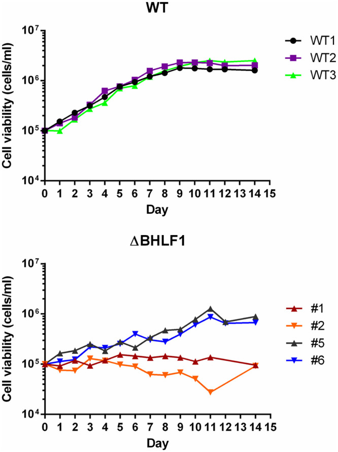 FIG 11