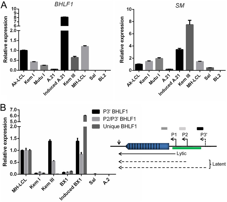 FIG 2