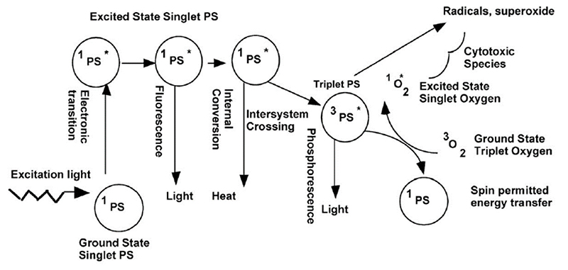 Figure 11