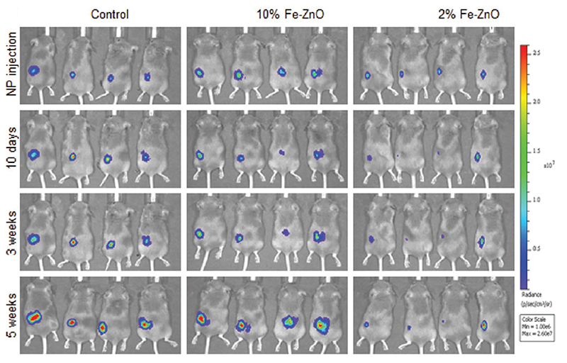 Figure 10