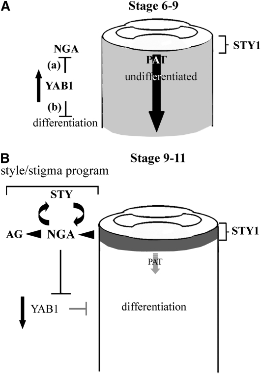 Figure 9.