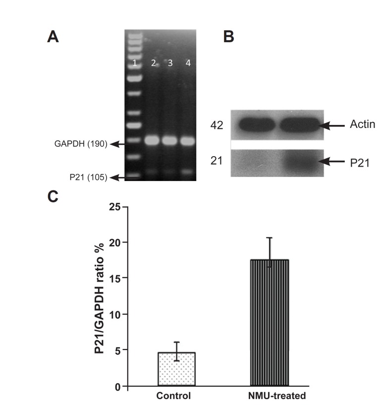 Fig 4