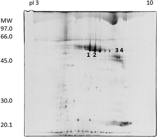 FIGURE 1.