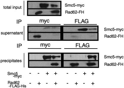 FIG. 7.