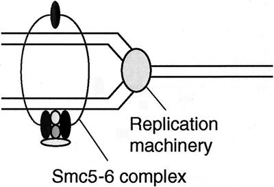 FIG. 9.