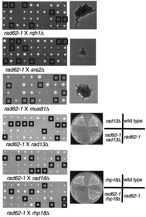 FIG. 8.