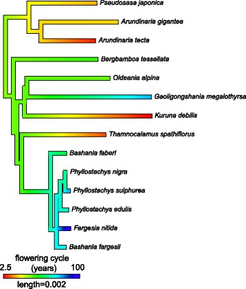 Fig. 4