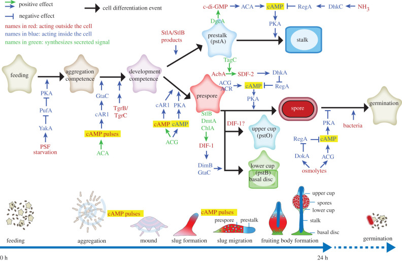 Figure 3. 