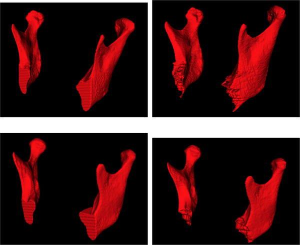 Fig. 7: