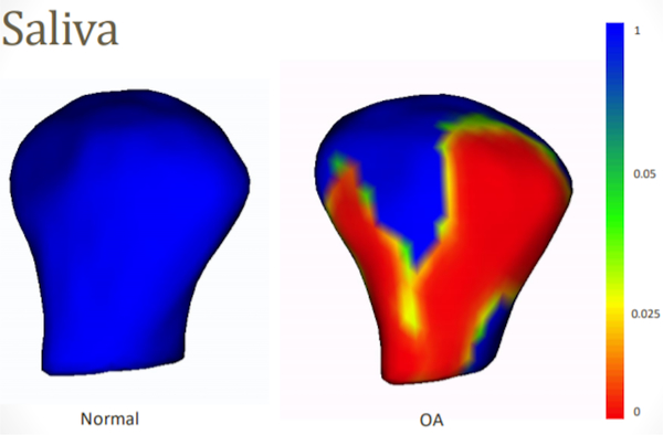 Fig. 8: