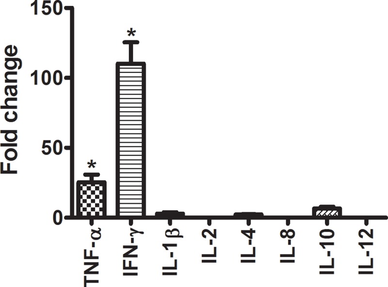 Fig 6