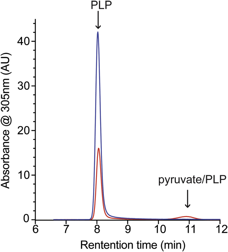 Figure 5