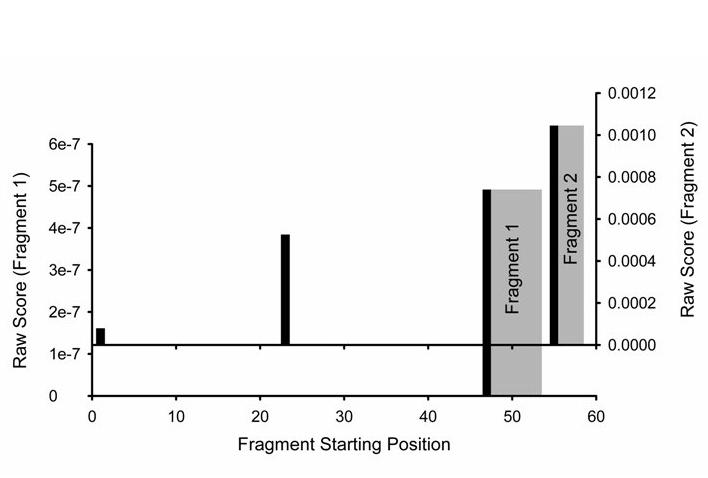 Figure 12