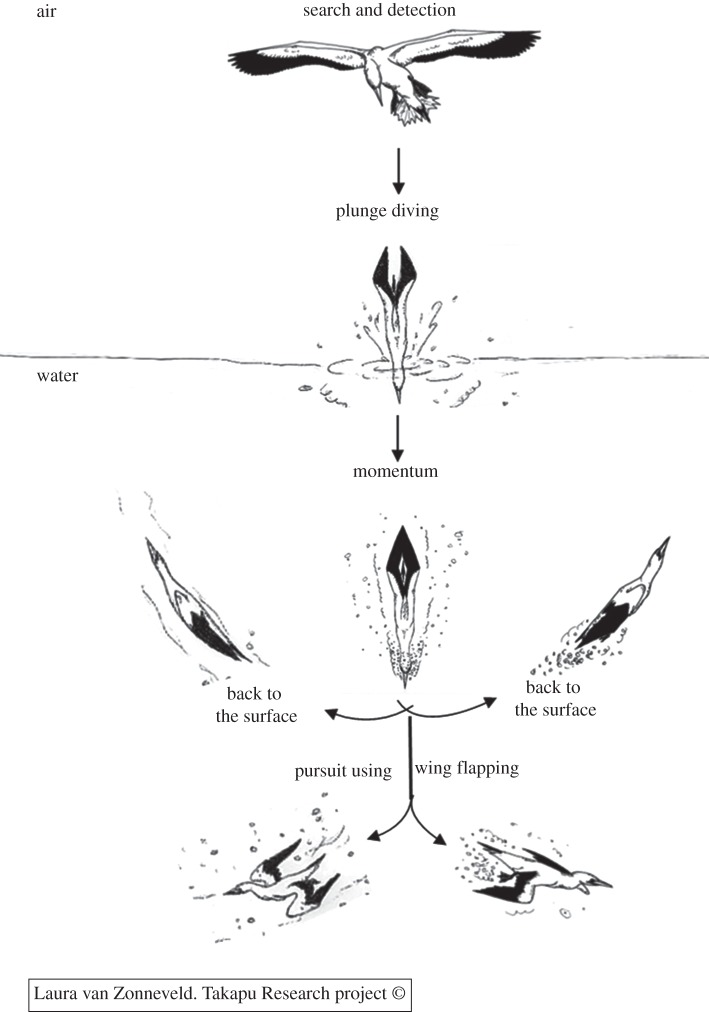 Figure 1.