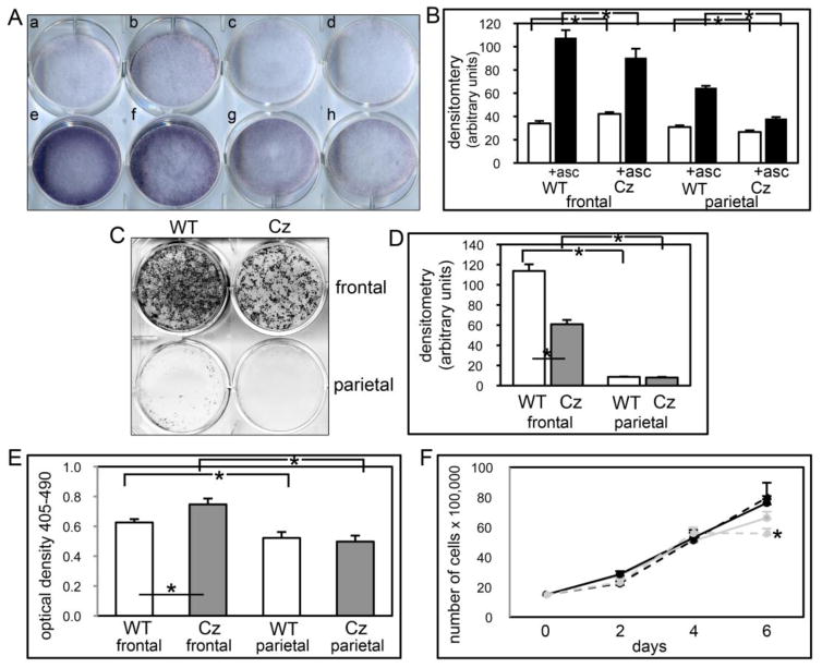 Fig. 9