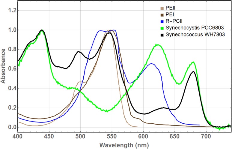 Fig. 2