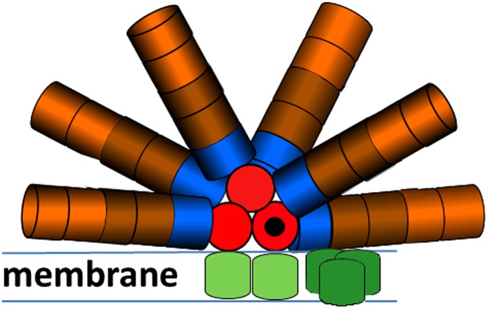 Fig. 1