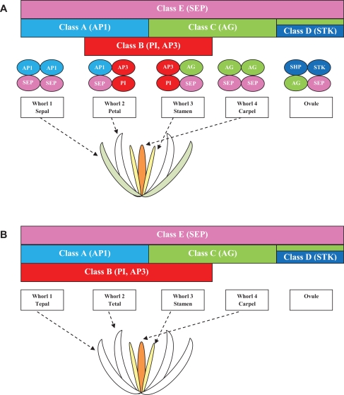 Fig. (3)