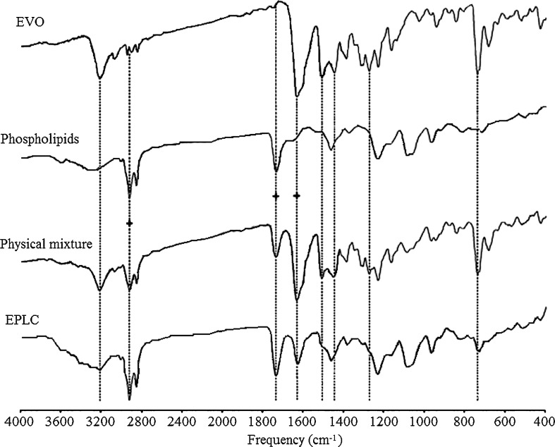 Fig. 7