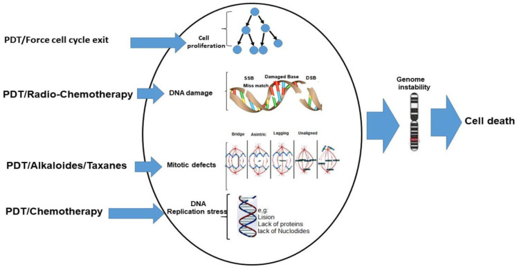 Figure 4
