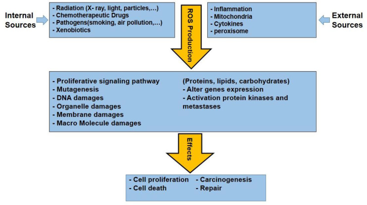 Figure 5