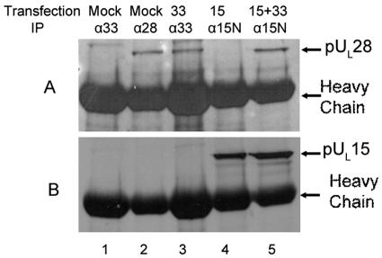 FIG. 8.