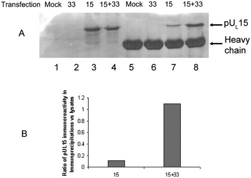 FIG. 9.