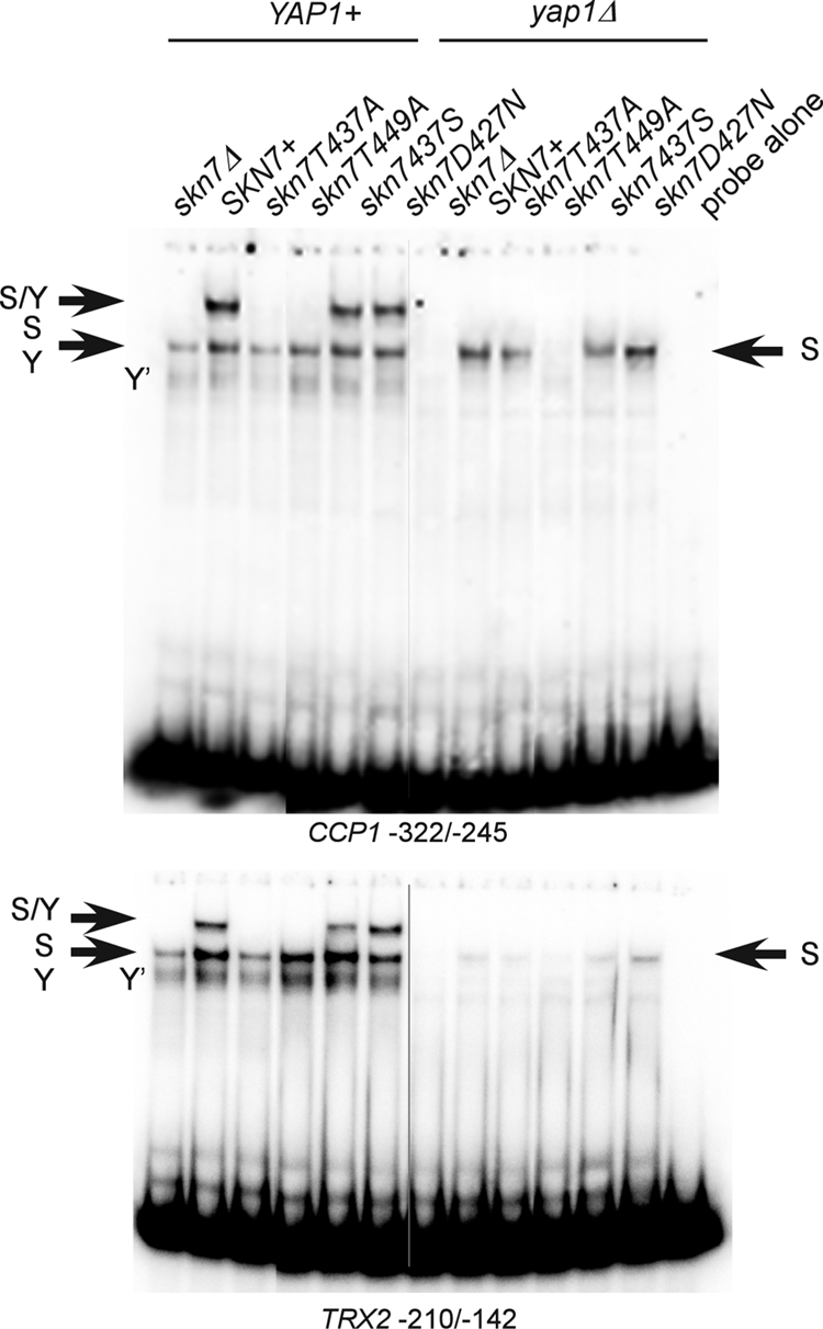 FIG. 7.