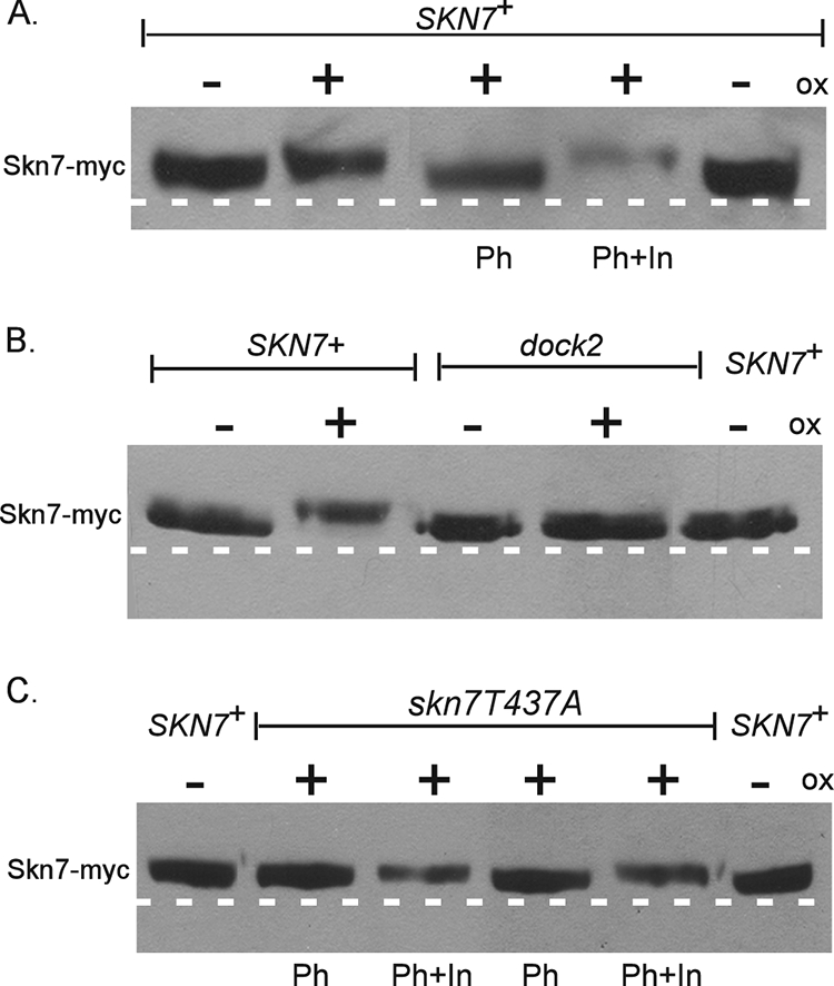 FIG. 9.