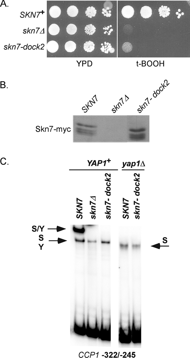 FIG. 8.