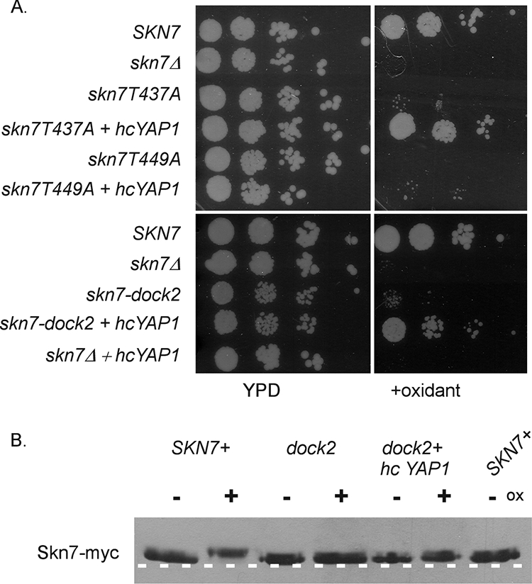 FIG. 11.