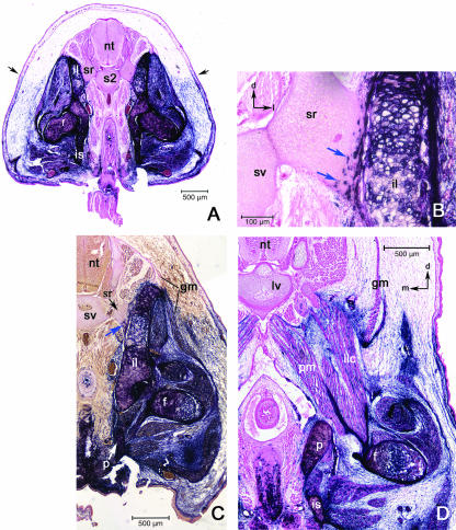 Fig. 9