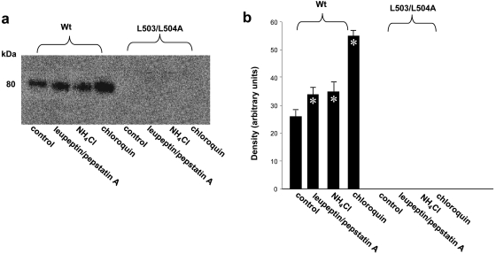 Fig. 8.