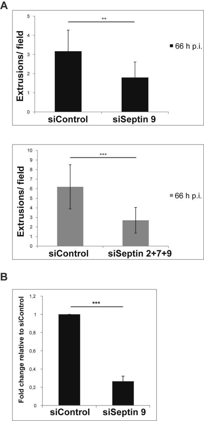 FIG 6 